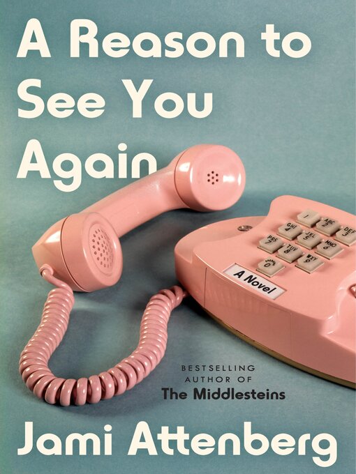 Title details for A Reason to See You Again by Jami Attenberg - Available